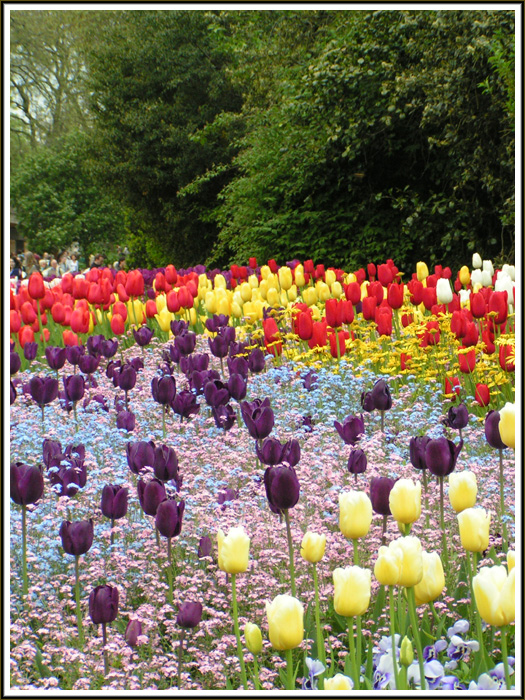 Jardins en fleurs de ST James Park  Londres -2006-
