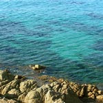 Turquoise de Capo di Feno -Dec 2006-