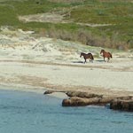 L'ouest Sauvage -Dec 2006-