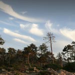 Crepuscule sur la pinde -juil 2008-