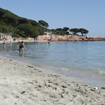 La plage et les paillotes -2008-