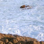 Ecume au Goland -Jan 2007-