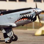 Le mythique P 51 Mustang de la seconde guerre mondiale
