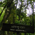 Fort primaire de Bebour-Belouve. Le sentier botanique.